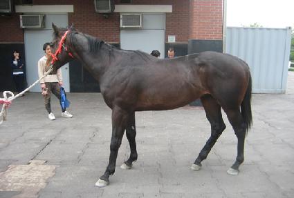 ���谡�� ����