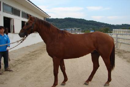 ĥ������Ʈ ����