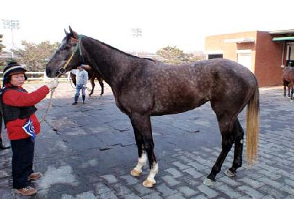 �ο�����Ʈ ����