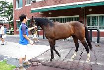 ���뽺 (URANUS) ����