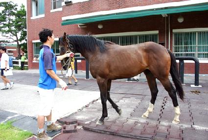 ���뽺 ����