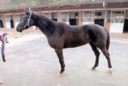 ���� ����