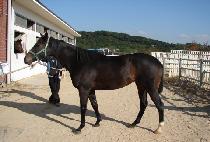 ��¸��� (DAESEUNG MARU) ����