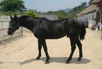 źź��� ����