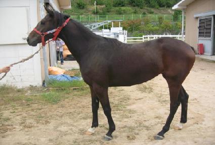 ������� ����