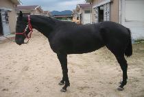 ������ (NURIWON) ����