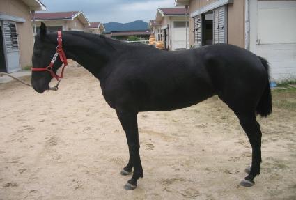 ������ ����