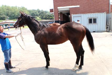 ���»� ����