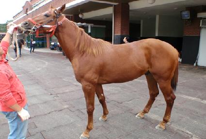 ȭ����� ����