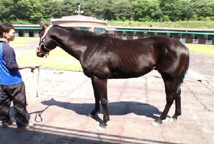 ġġīī ����