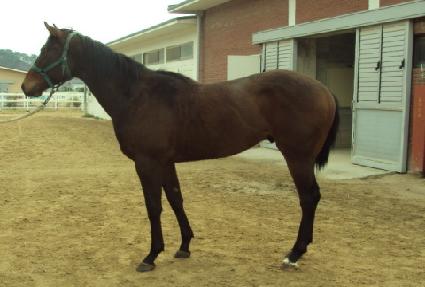 ��δ�� ����