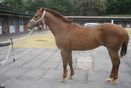 �������� ����