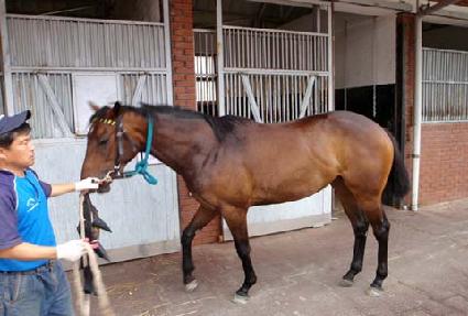 �������� ����