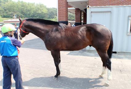 �帲�긮�� ����