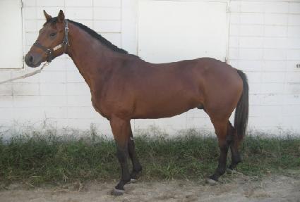 �������� ����