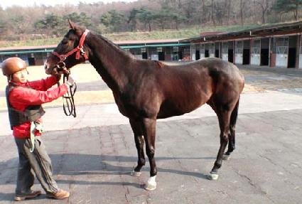 ȯ�󿬱� ����