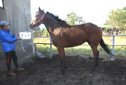 �ö�� ����