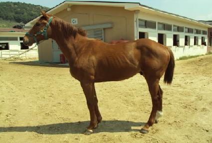 ����ٶ� ����