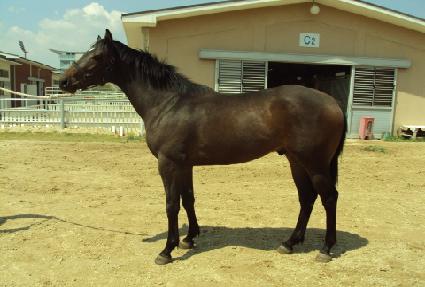 �Ӵ����� ����