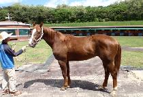 ����Ŭ���� (A CLASS) ����