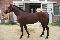 �����ػ罺 (MUJEOK TEXAS) ����