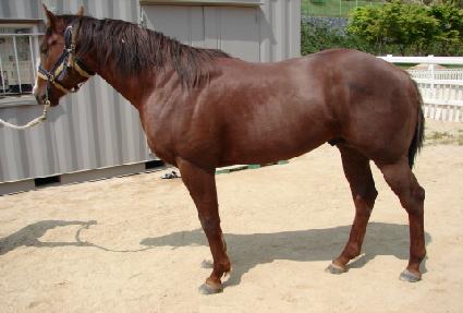 ���屺�ػ罺 ����