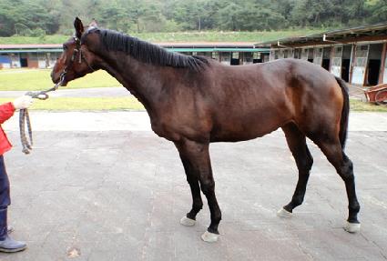 �̺�Ʈ�� ����