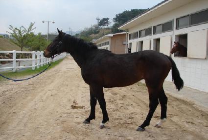 ��Ŭ���� ����