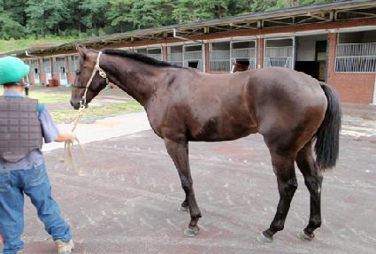 �ݾ�è�� ����