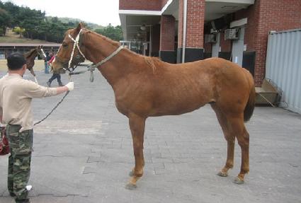 �����Ӱ����� ����