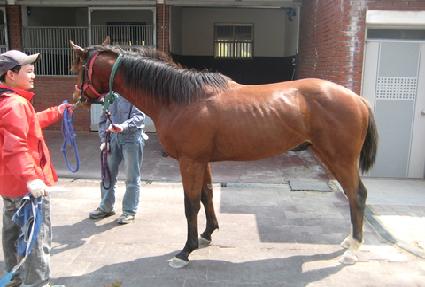 ����̾ȷ��� ����