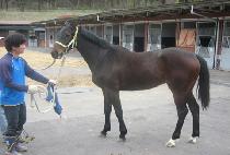 ��Ÿ���� (ANTARES) ����