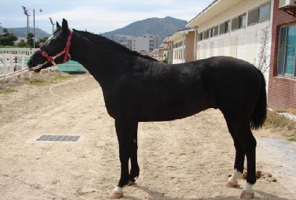 �������� ����