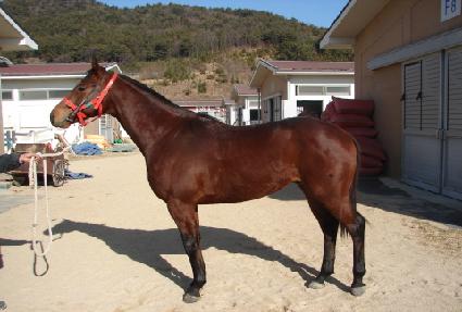 �������� ����