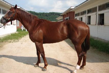 ��īŷ ����