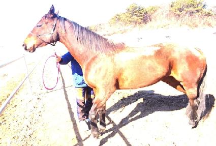 Ǯ�� ����