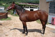 ��±�� (USEUNG GIUN) ����