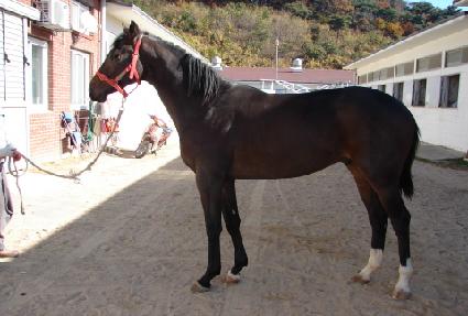 Ž����� ����