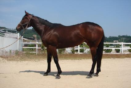 Ž������ ����