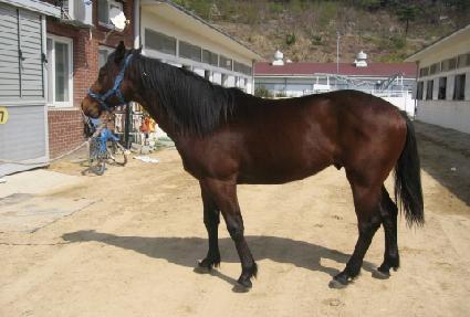 Ž���� ����