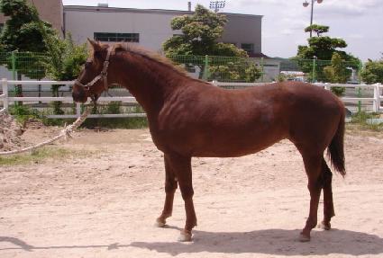 ǳ��� ����