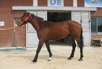 Ž��Ƽĸ ����