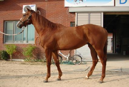 ���¹��� ����