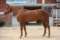 ��ƼǮ��� (BEAUTIFUL SUNNY) ����