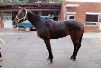 ��������� (SEORABEOLLYEOWANG) ����