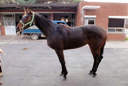 ��������� ����