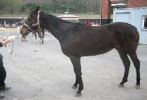 ��󰡹븮 (BRAGA VALLEY) ����