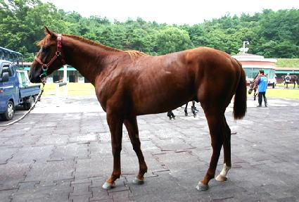 �귻Ʈ���� ����