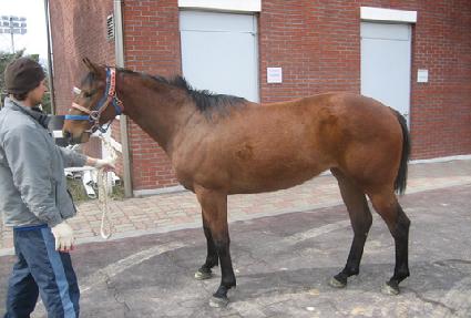 ����Ʈ���̽� ����