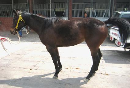 ���� ����